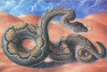 Rattlesnake - Animal Paintings